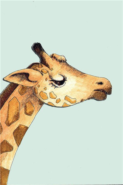 Your state is your best feng shui, and your character is your best luck. Be simple, be kind, work hard, and you will have more surprises