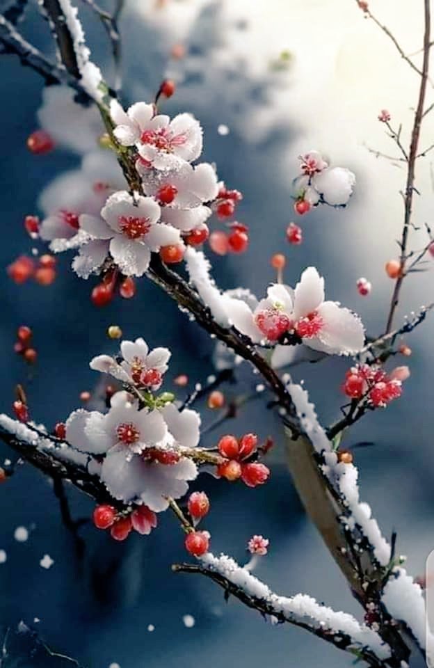 Alenka18018's tweet image. Жить так, .. чтоб видимое видеть..
Чтоб чувствовать... и замечать...
  _Терентий Травник