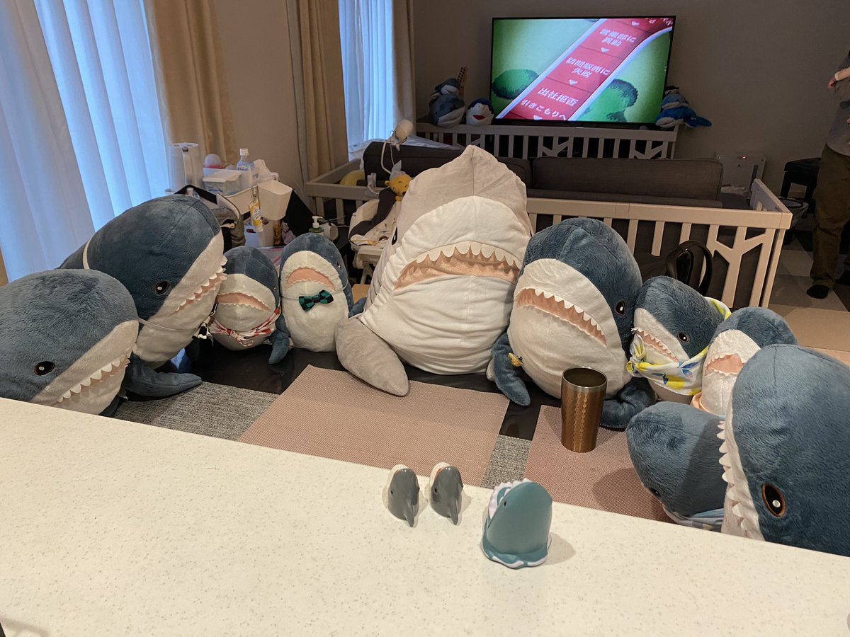 10Ymk's tweet image. 愛知県に戻り、親子3人＋大勢のサメ生活がスタート✨
イオンでお買い物とかしてたら
何やら大きなサメがたくさん居るクレーンゲーム🕹があって
旦那さんがまさかゲット🤣

また増えたサメ！🦈
BIGな140cm灰色さん😊
お顔はIKEAそっくりです🦈

#ikeashark
#IKEAのサメ