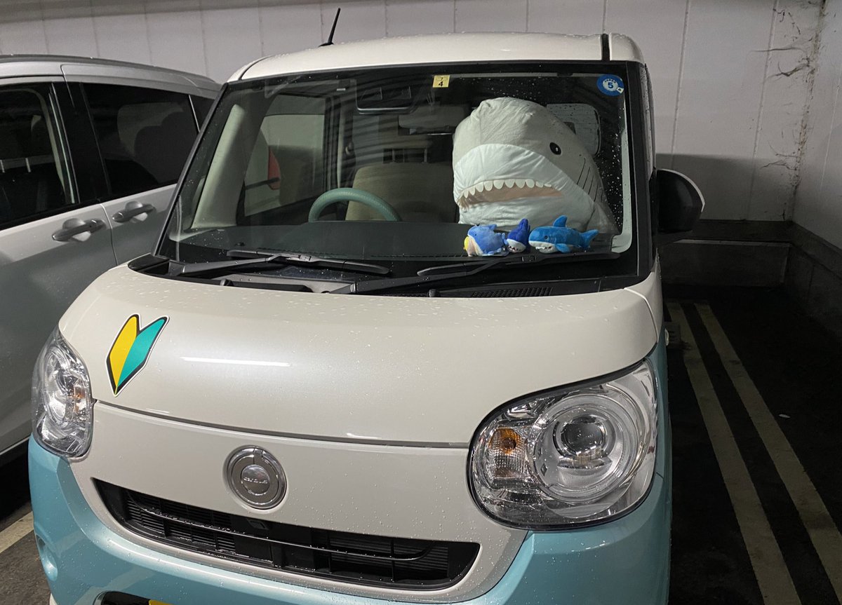 10Ymk's tweet image. 愛知県に戻り、親子3人＋大勢のサメ生活がスタート✨
イオンでお買い物とかしてたら
何やら大きなサメがたくさん居るクレーンゲーム🕹があって
旦那さんがまさかゲット🤣

また増えたサメ！🦈
BIGな140cm灰色さん😊
お顔はIKEAそっくりです🦈

#ikeashark
#IKEAのサメ