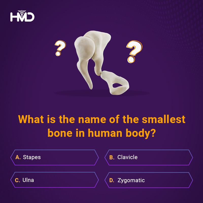 Fascinating bone facts coming your way! 
Did you know the human body has 206 bones? Can you guess the name of the smallest bone in the human body? 
Check the image and let us know the correct answer! 
#BoneFacts #Anatomy #Quiz #MedicalQuiz #HealthQuiz #HumanBodyQuiz