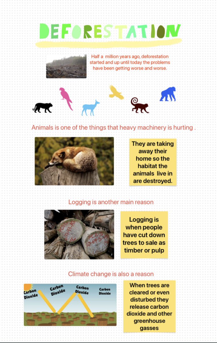 This half term Year 5 have been learning about the Amazon Rainforest, with a focus this week on deforestation. The children showed their understanding by creating a poster, a Keynote, voice note or writing in full sentences. <a href="/NHP_WAT/">Northumberland Heath Primary School</a> <a href="/MrDDavies1/">MrDDavies</a> #UDL