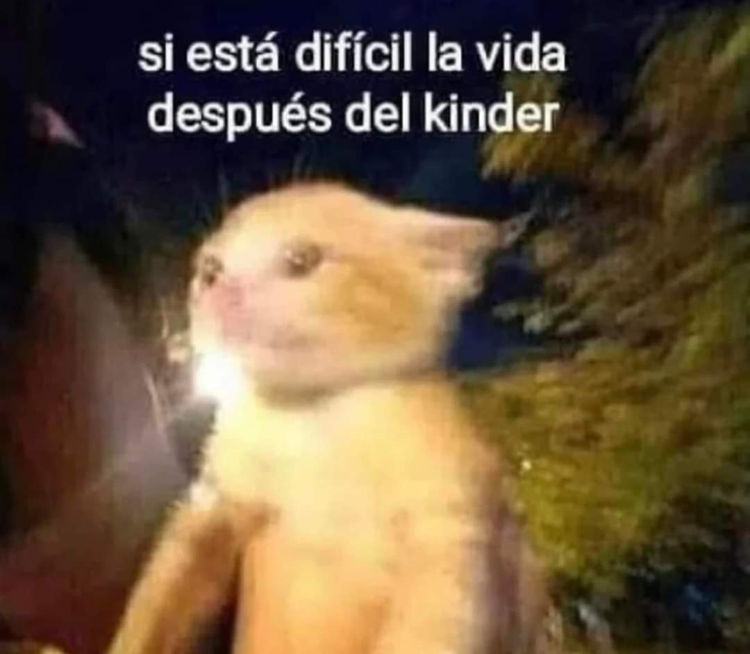 CapLaloVargas's tweet photo. La explicación del comunicado del @AICM_mx 
Aerolínea: el avión sale a las 5:05pm
AICM: Nel tu avión sale a las 4:22pm
Aerolínea: no tengo personal oiga ya le dije a mis pasajeros que el sale a las 5:05pm póngalo en pantalla.
AICM: te dije que a las 4:22pm y ya son las 5, PELAN https://t.co/TfvdGCEwpA