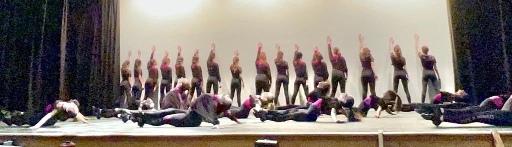HabsDance4Life's tweet photo. @HabsDance4Life Stunning Performances from our dancers to help celebrate International Culture Day🥳🦩💃🏻 https://t.co/Ahnv7Pkwgs
