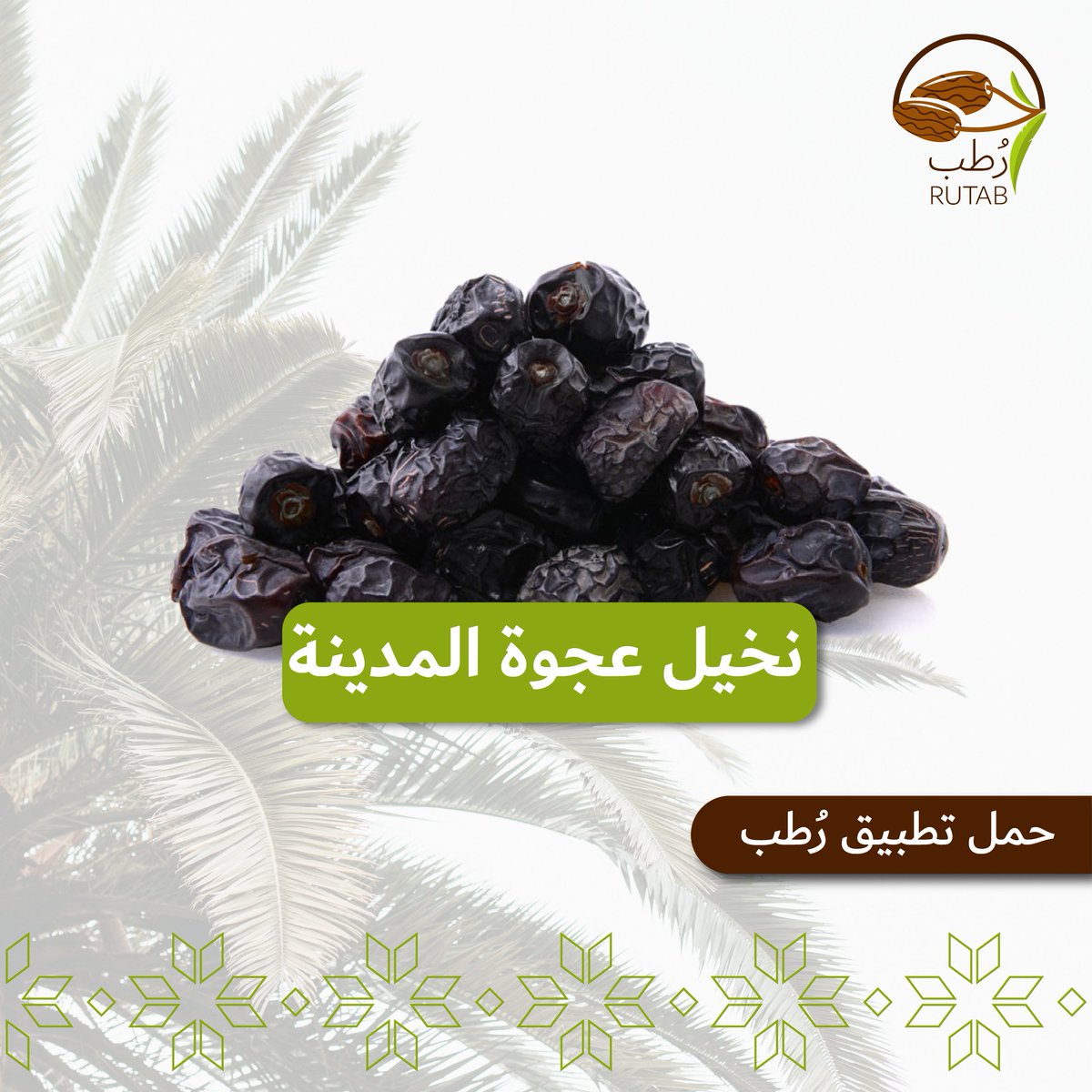 rutab_app's tweet photo. ⚜️نخيل العجوة⚜️
تحتل هذه النخلة شهرة كبيرة في العالم أجمع، ويمكن تناول تمورها في جميع مراحل النمو المختلفة، وتمتاز تمور العجوة بإحتوائها على مجموعة كبيرة من المعادن والفيتامينات؛ مما جعلها من أفضل أنواع التمور وأكثرها نفعًا.

#رطب #تمور_المملكة https://t.co/8tpNnniJnm