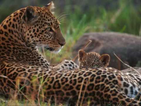 ZUNI Learning Tree tweet media