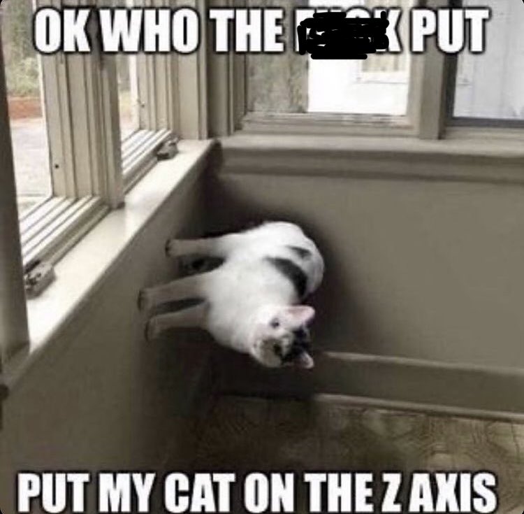 A meme