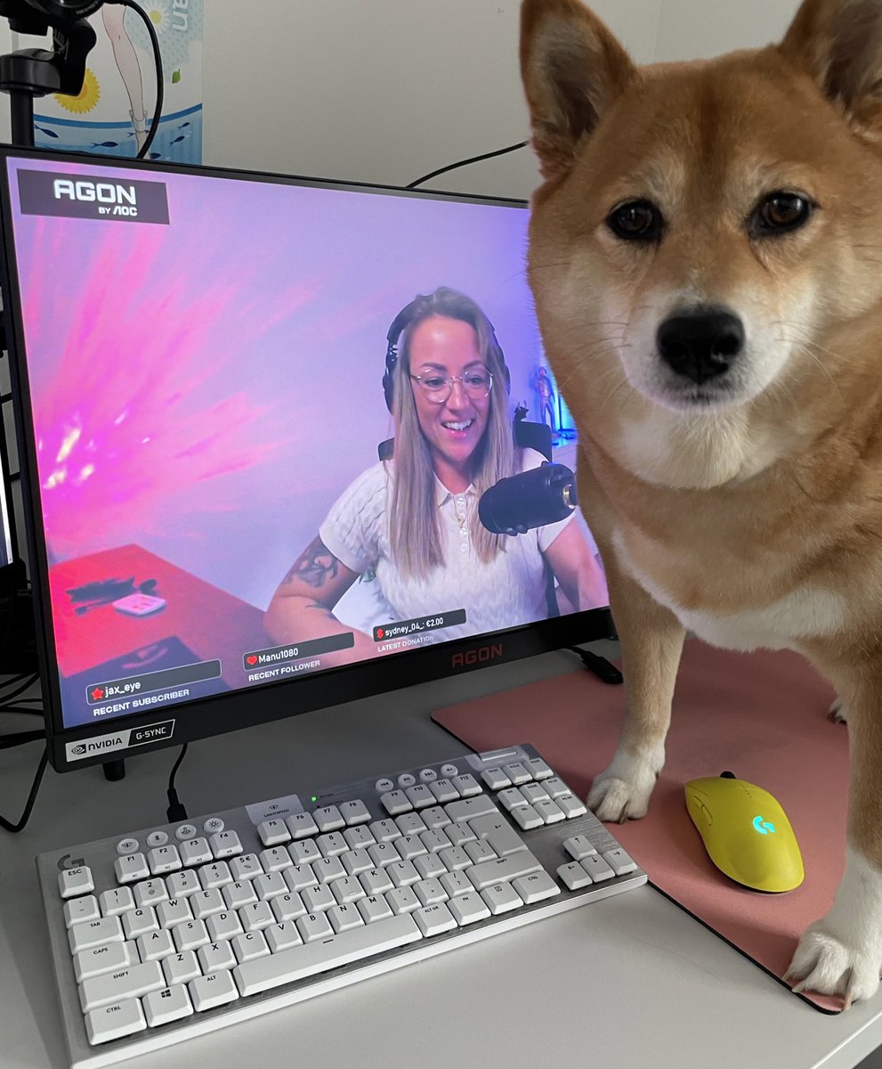 G2 Roxi On Twitter thank You AGONbyAOC For The Monitor So I Can g2-roxi-on-twitter-thank-you-agonbyaoc-for-the-monitor-so-i-can