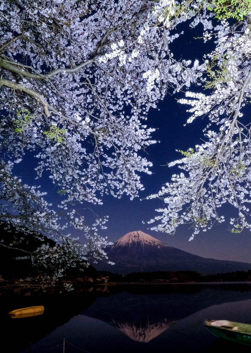 田貫湖からの夜桜と富士山です。逆さ富士も綺麗でした🌸 過去の作品