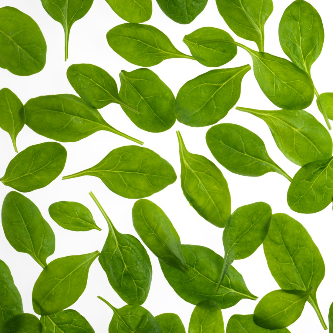 Celebrate #NationalSpinachDay by learning about all its nutritional benefits! Between its vitamins K, A &amp; C, folate, iron, and magnesium it gives your body all the right nutrients to keep it going.

Read a full, in-depth nutritional review of spinach here: lettuceinfo.org/products/spina…