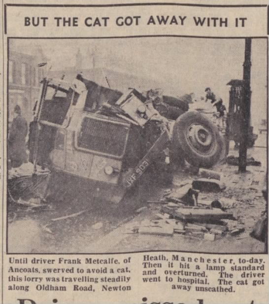 HorribleSanity's tweet photo. Typical cat story.  (Manchester News 1955, via @_newspapers) https://t.co/9fxfsLNfyF