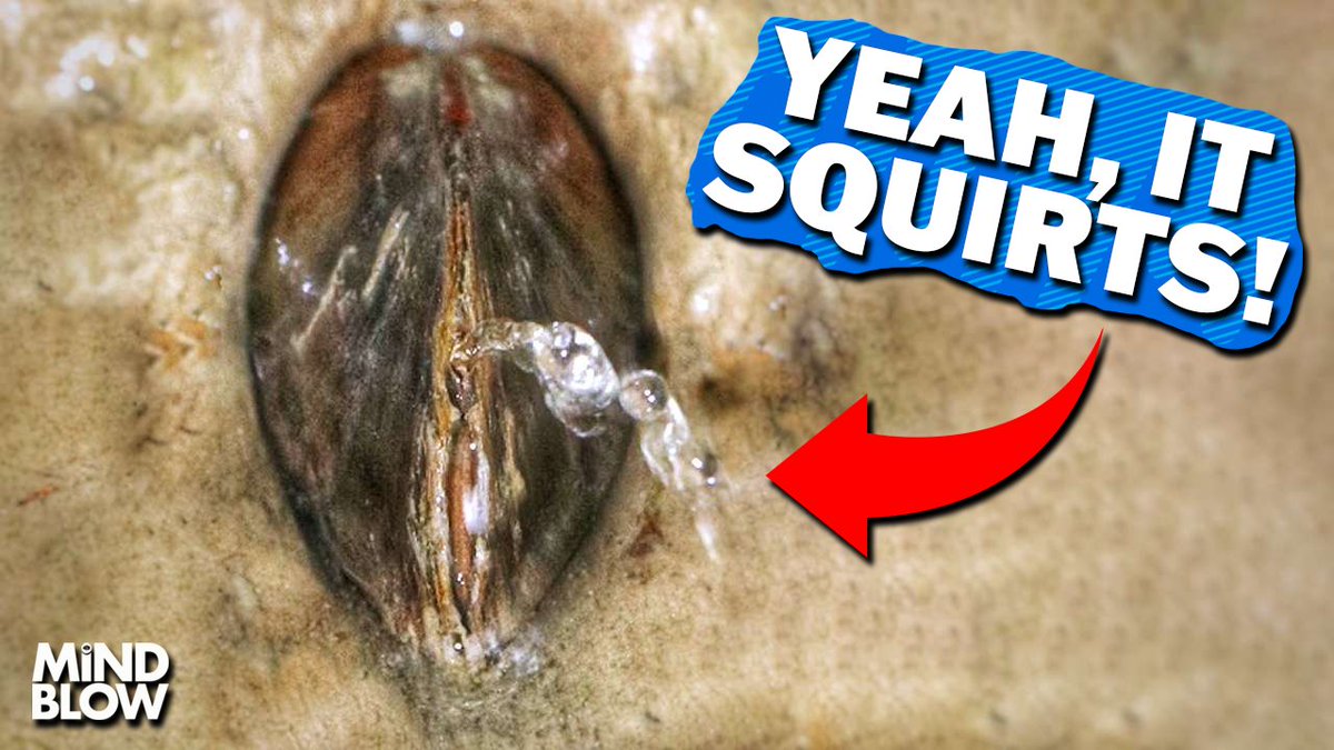 It's Squirting For Survival

[New Mind Blow] --&gt; youtu.be/z3yokbrsUxg
