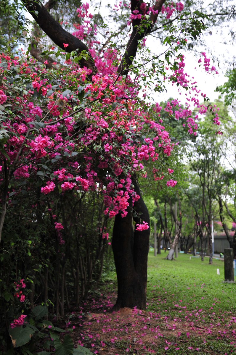 Exception1031 tweet picture