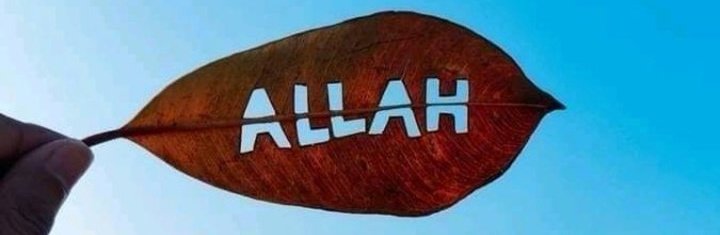iiSaadKhan's tweet photo. ALLAH♥️
#cover_photo https://t.co/JuEqfPxraT