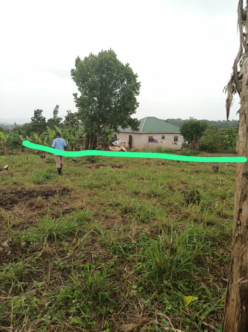 shukranproperty's tweet photo. ❤️ LAND FOR SALE 💜
 📌 #12ACRES available for sale in Kalasa on Semuto road after Matuga town, with ready title..Selling Price #33m each negotiable. (Selling at once) ..
📌Good for farming and real estate business.. Electricity and good neighborhood.
📌Call 0706592177 https://t.co/m5Ygr94BtL
