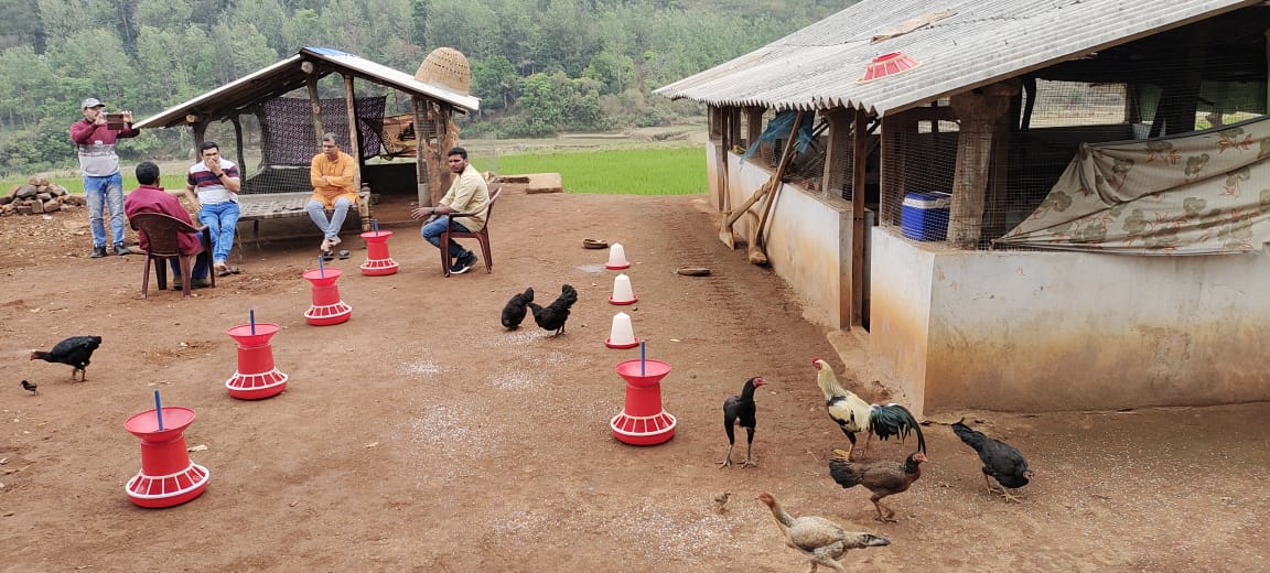 sabyasachidasin's tweet photo. Got good insights during field visit to Desi BackYard Poultry Entreprenuers. Happy to see some of them have progressed in their livelihood security and created assests with Income from #DesiPolutry.Entreprenuers were supported by @APAHD2023,  #TRICOR &amp;implemented by @WASSANIndia https://t.co/5t3y5Dl2mK