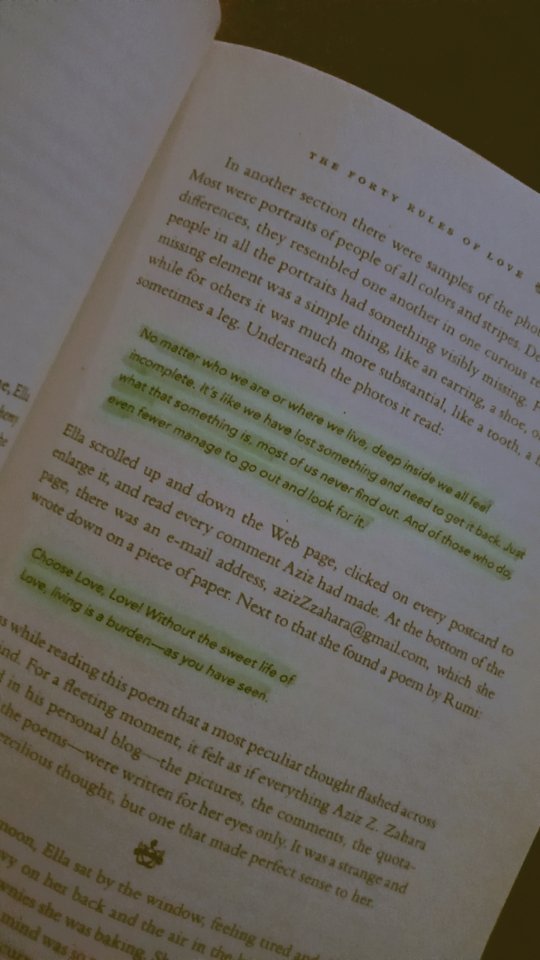 Seerat_asif123's tweet image. #Fortyrulesoflove