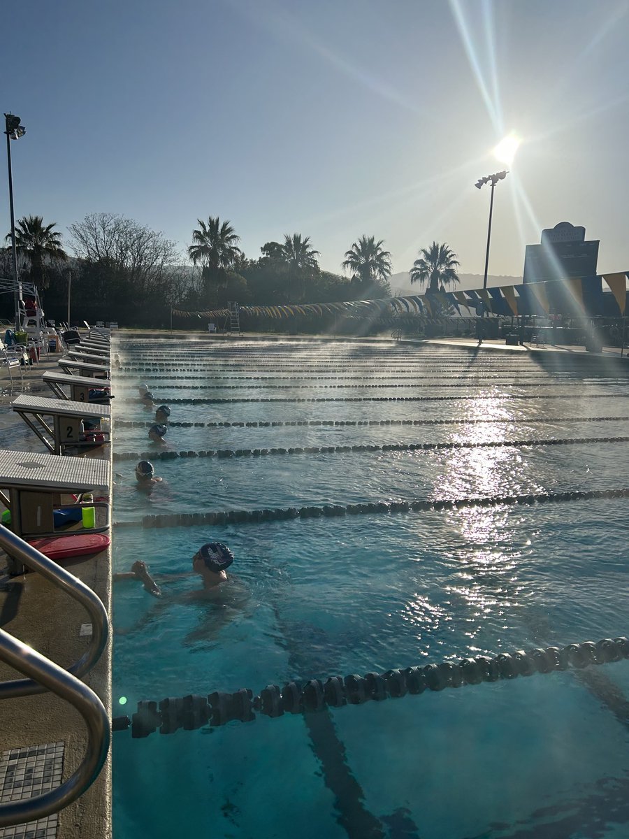 ComoxSharks's tweet photo. Day 2, 4 days until Far Western Champs https://t.co/8Ll6oGGm9a