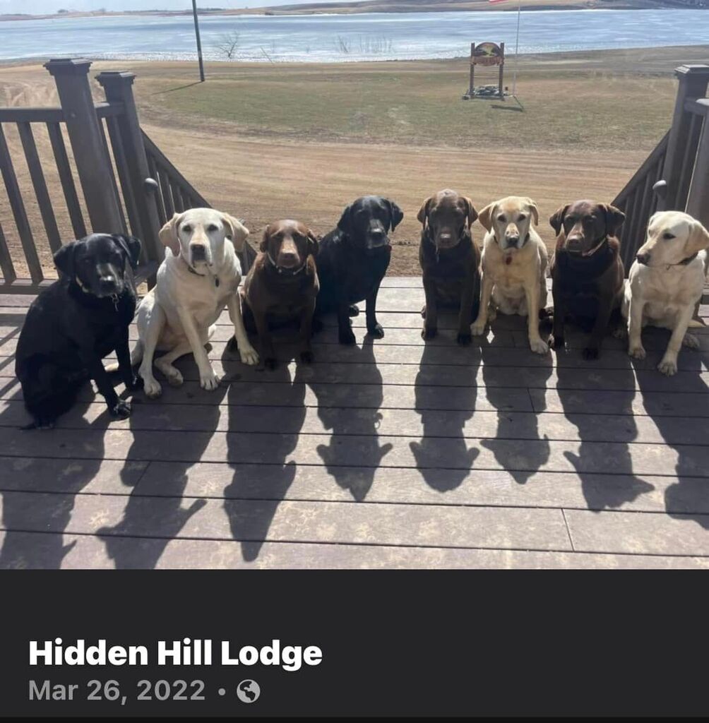 Hidden Hill Lodge (@HiddenHillLodge) / Posts / X