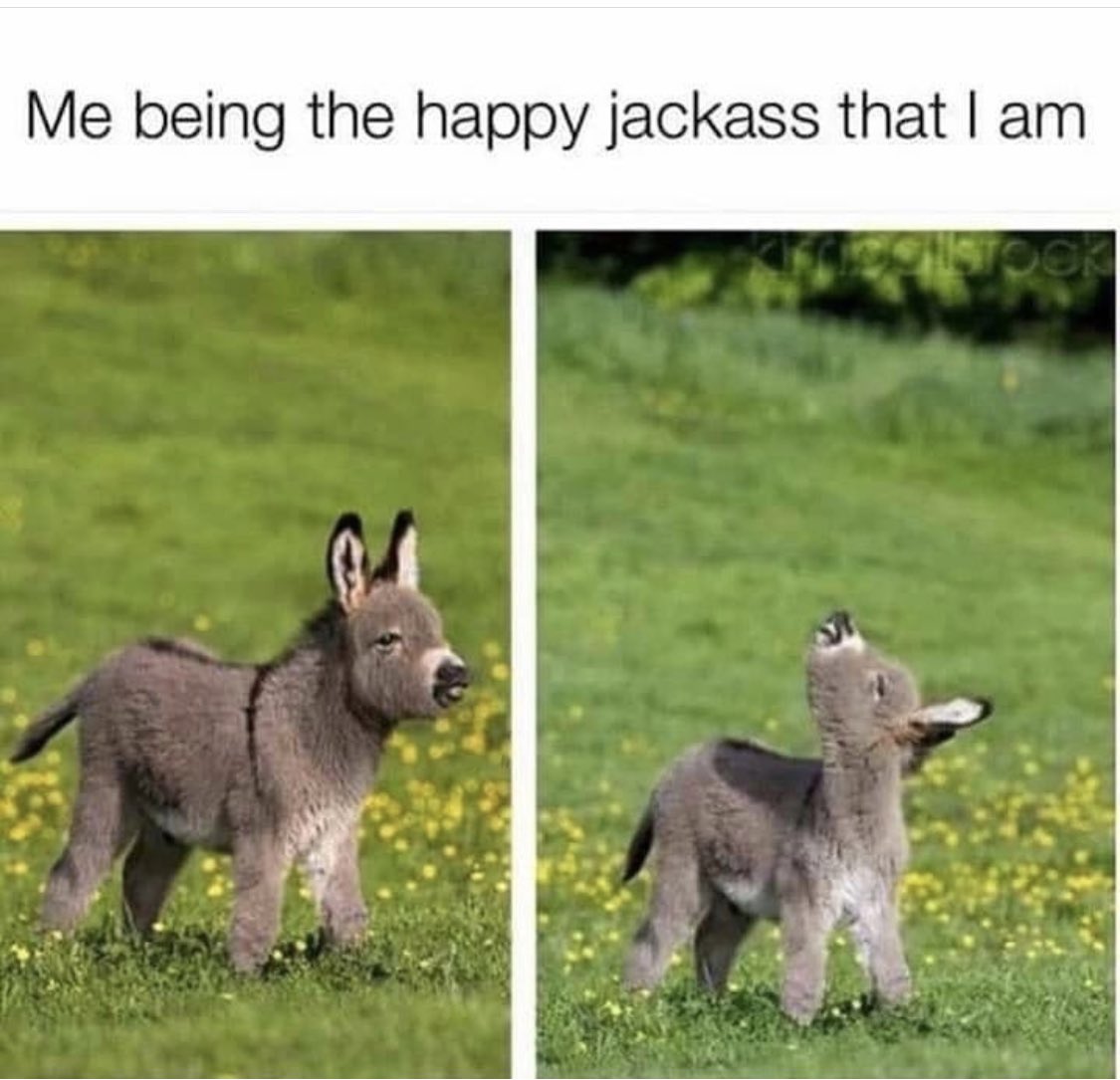 Hello