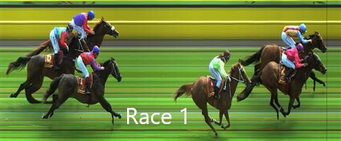 Picnic Racing tweet media