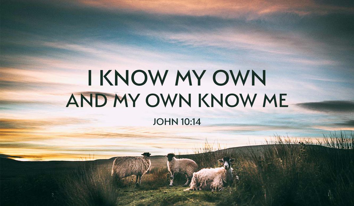 ourshepherdlcms's tweet photo. Take 5 to Nurture: Take 5 minutes to do these 5 things with family or friends!

John 10:14-15

1. SHARE your blessings and challenges
2. READ the Bible passage
3. TALK about the Bible passage
4. PRAY for your blessings and challenges
5. BLESS one another

More! Read John 10:1-18 https://t.co/zBLuzgS4HS