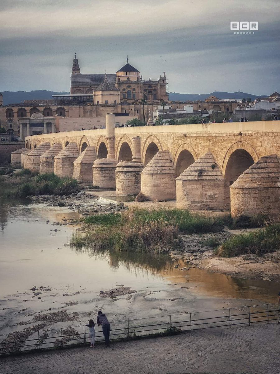 Cordoba_spain's tweet photo. ❤️ "... no la busques más bonita".

#CórdobaEsp https://t.co/WjovlFOlqX