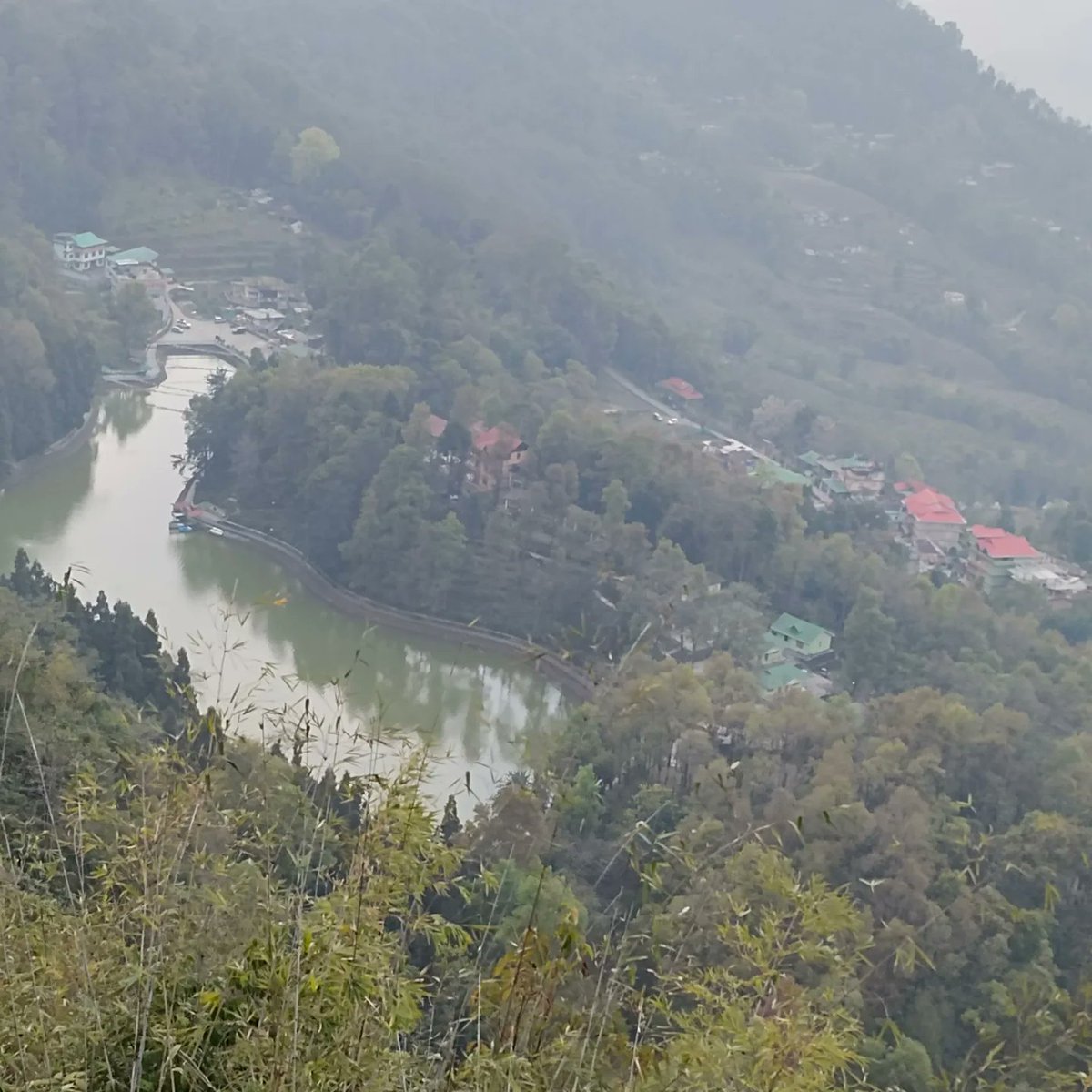 RajibBh99644613's tweet photo. #aritar -east sikkim https://t.co/I6oefZU8FG