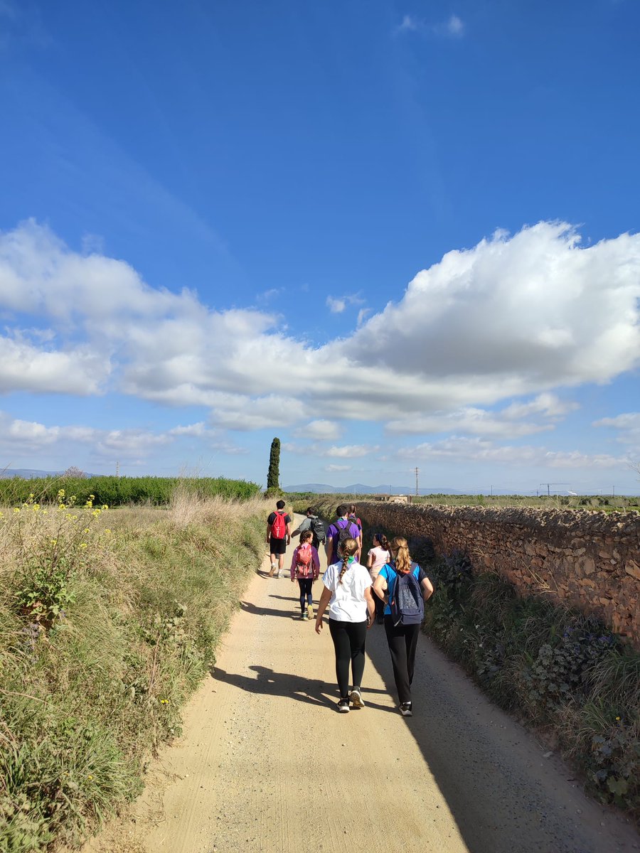 aeigalverna's tweet photo. Ahir la familia alverniana vam fer una caminada i calçotada amb companyia d'Antics i Amics.
Vam gaudir d'un dia molt divertit i primaveral💚💜 https://t.co/QkejWxUwbo