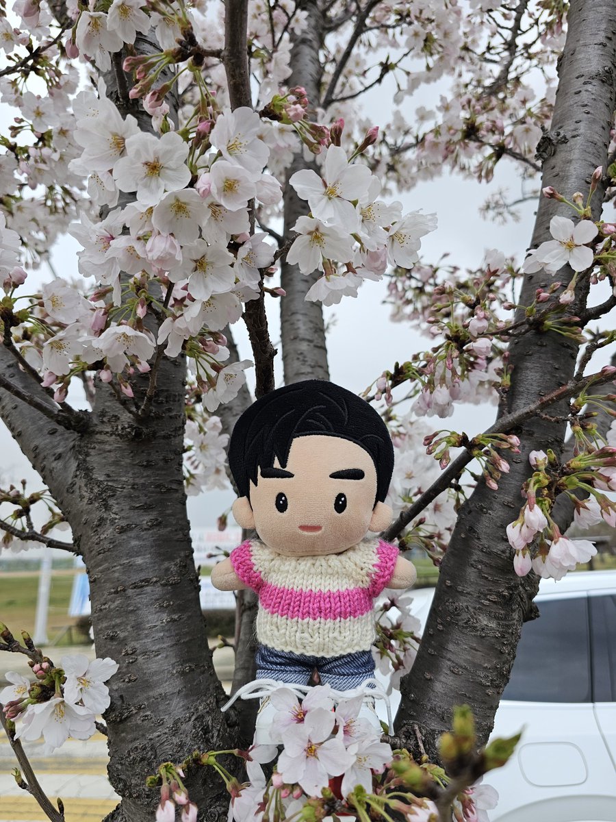 혐생 끝내고 올만에 즐기는 휴일‼️ 짱영웅 영화도 보고 죄웅이 꽃구경도 시켜주고 알차게 보내고 갑니됴💙 늘 힘께 놀아주는 그대들 고맙소🫶...