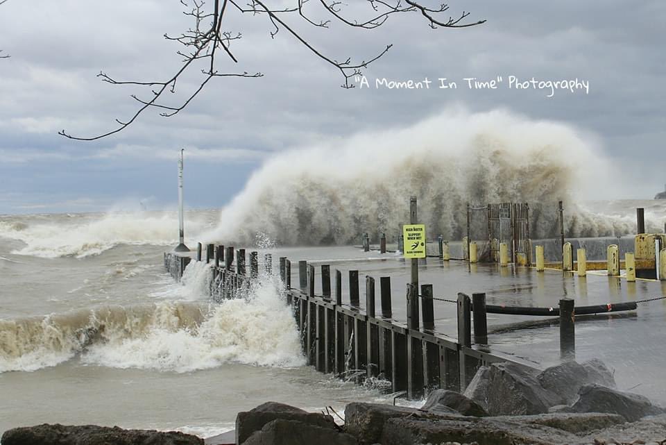 Miller Ferries tweet media