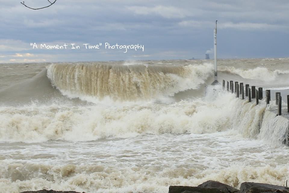 Miller Ferries tweet media