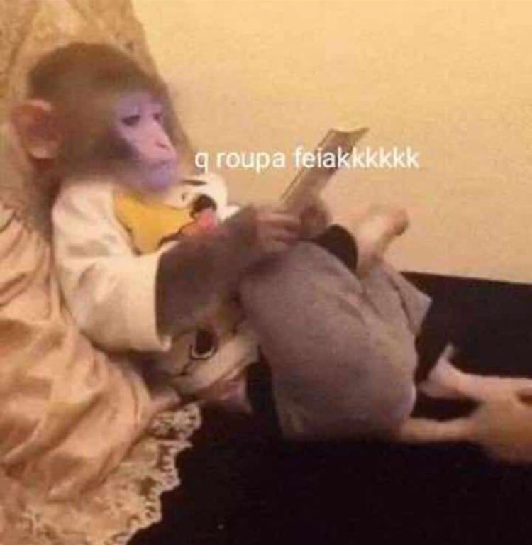 jackvigarista13's tweet photo. Eu assim vendo o povo no lolla https://t.co/PpWKTsvhyx