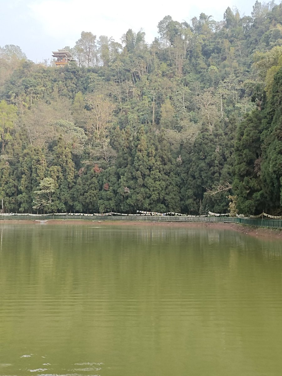 RajibBh99644613's tweet photo. #aritar lake -east sikkim https://t.co/qY1s50bOZs