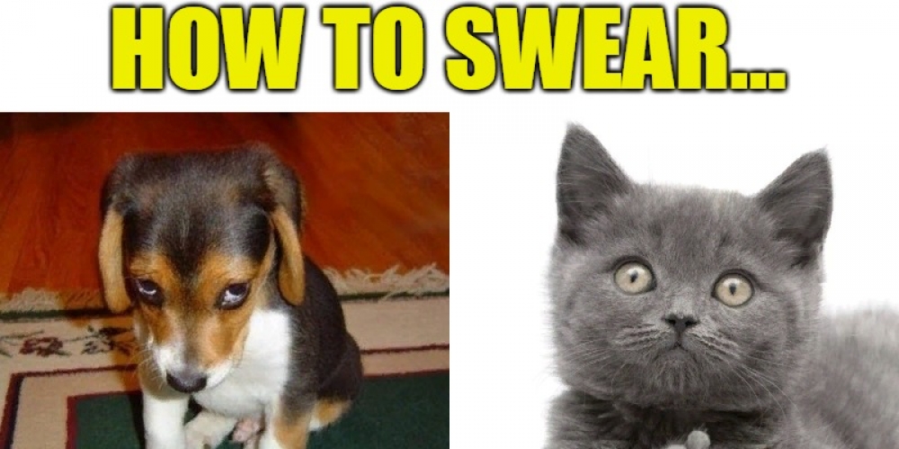 PetasticPets's tweet photo. Great, huh?
 #pets #dogs #cats #familypets #petastic #doglovers #catlovers #petlovers #dogsandcats #petslife #cutepets #cutedogs #cutecats #funnydogs #catmemes #dogmemes #funnycats #lovelypets #lovelydogs #lovelycats https://t.co/2lGgV66myu