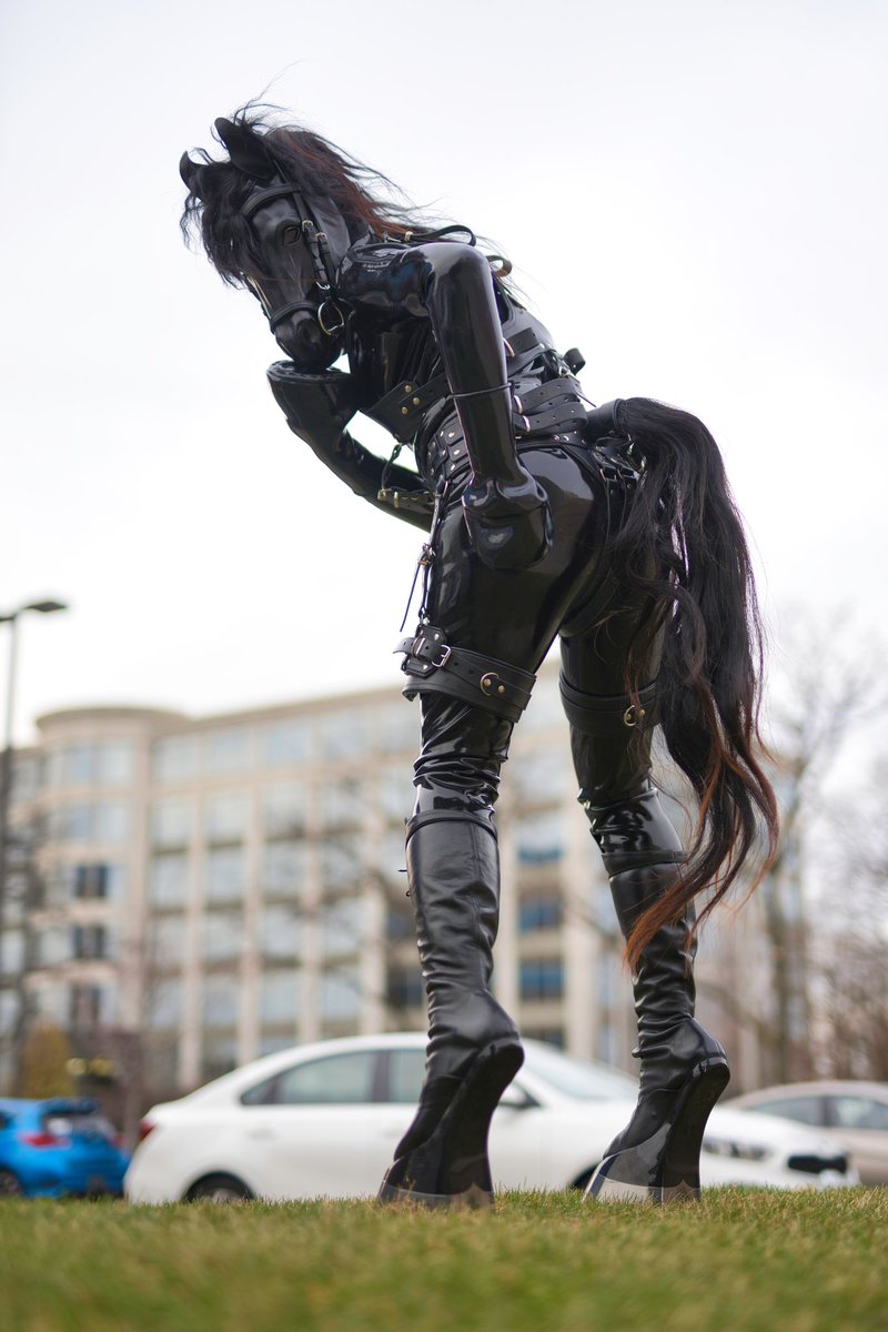 Shiny_Endorphine_AD at NFC๐ (@endorphinedoga) on Twitter photo Hello down there! What are ya looking at?
<a href="/FeynirHusky/">@Feynirhusky.bsky.social</a> #ponyplay #rubberpony Hello down there! What are ya looking at?
<a href="/FeynirHusky/">@Feynirhusky.bsky.social</a> #ponyplay #rubberpony
