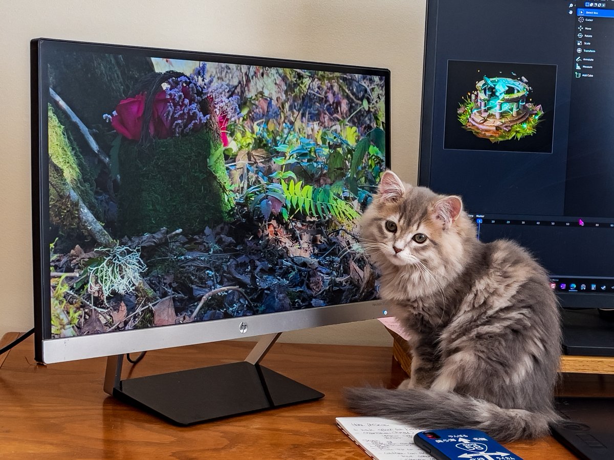 medium.com/the-frugal-jou… #cats #making