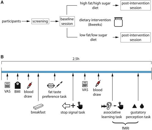 cell.com/cell-metabolis… Habitual daily intake of a sweet and fatty snack modulates reward processing in humans <a href="/Cell_Metabolism/">Cell Metabolism</a> <a href="/SociedadSeedo/">SEEDO</a> <a href="/sociedadSEEN/">Sociedad SEEN</a>
