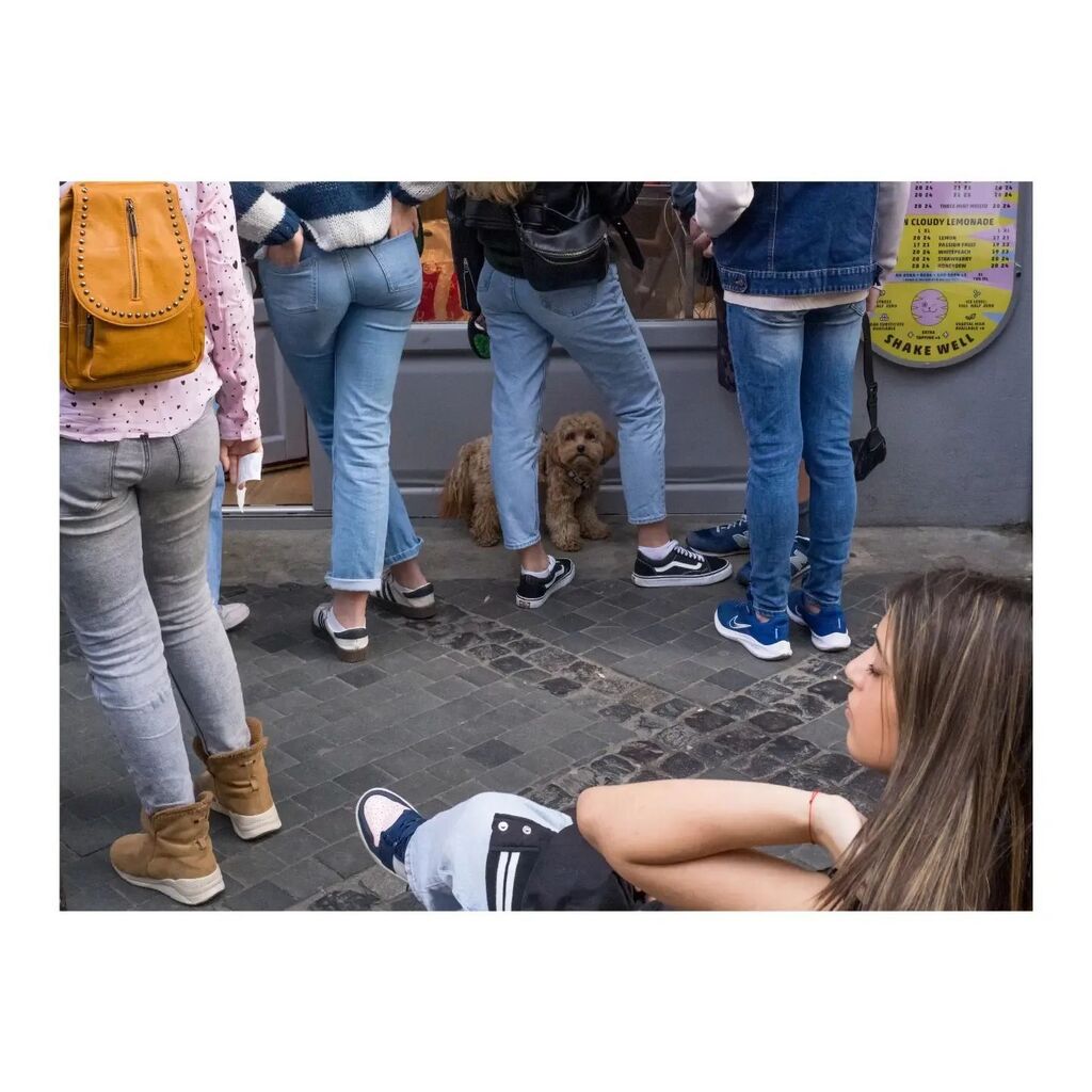 4iosif's tweet photo. ...
#photography #photogallery #peoplegallery #photoblog #cinematic #belgique #streetcolour #photoblog #storytelling #streetgrammer #raw #streetphotography #framebyframe #ig_color #bxl #lensbible #lensculturestreet #storymaking #brussels #plants #streโฆ https://t.co/PN9J6HYPd9 https://t.co/79orxnRZh4
