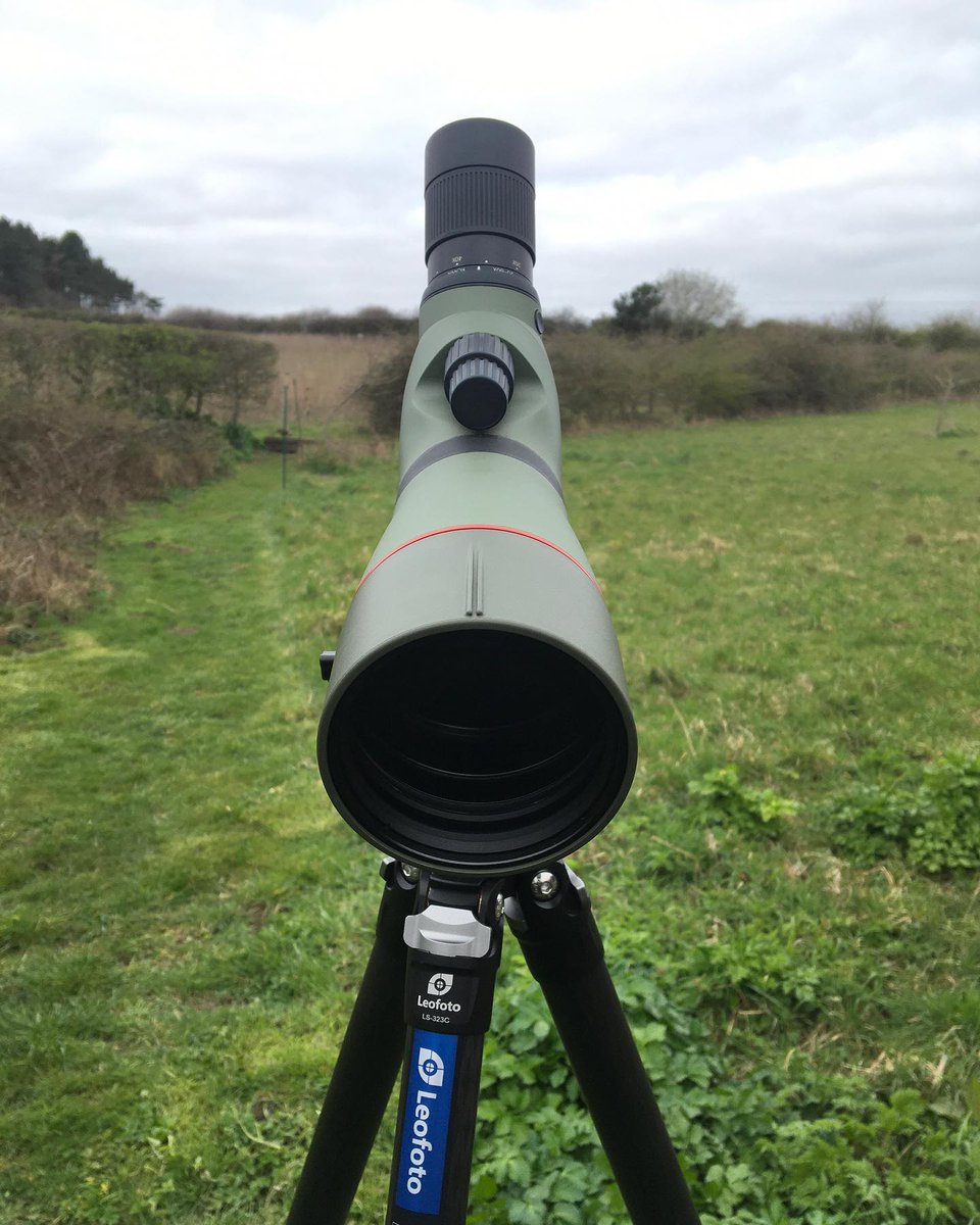 Just in this morning: Used @kowasportingoptics TSN-773 spotting scope,with 20-60x & 30x eyepieces and stay-on case, £1650.
Not on our website yet, email inbox@cleyspy.co.uk for more information.
#birding #optics #kowaoptics