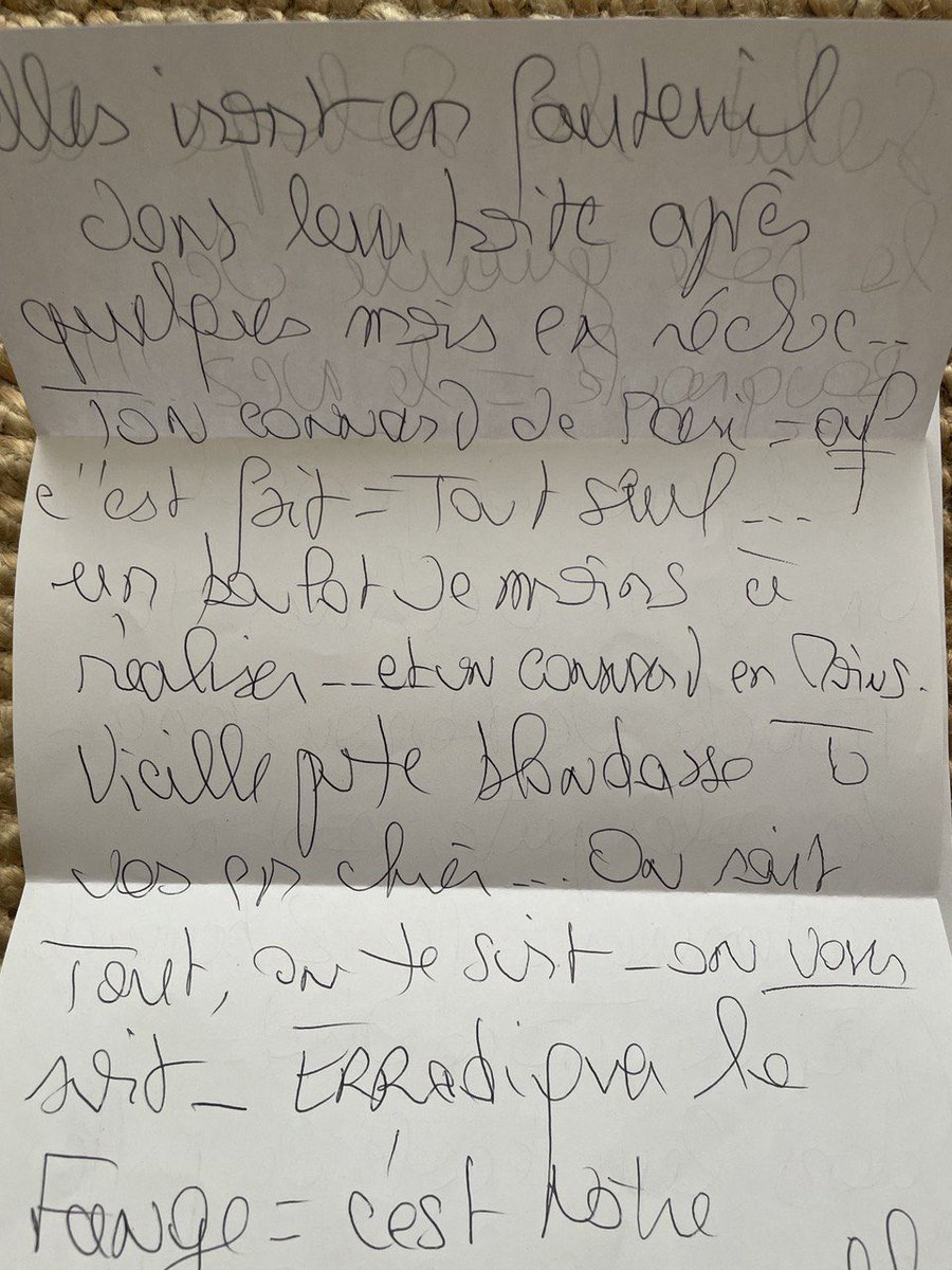 AstridPanosyan's tweet image. Se faire traiter de sale pute, on ne s’habitue pas
Mais menacer de mort mes enfants, se réjouir de la mort de mon mari, il n’y a pas de mots
J’ai hésité à rendre cette lettre publique. Je le fais par solidarité avec @auroreberge et @MarieLebec78
Des femmes debout, elles aussi.
