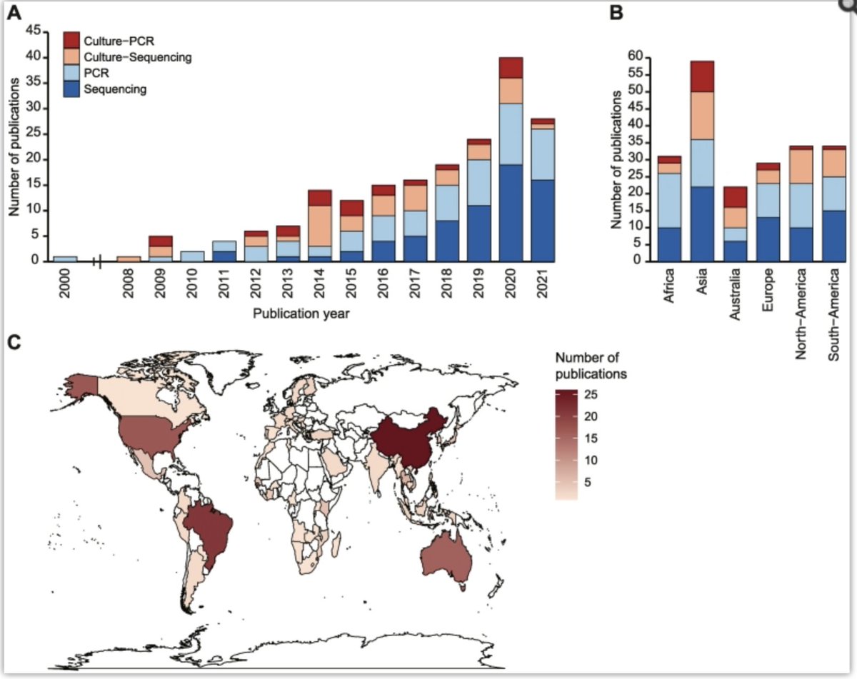MarionKoopmans's tweet photo. An overview of the global knowledge on mosquito viruses, produced by @VanRijLab , partner in @OneHealthPact . Great work. We need to understand baseline diversity of our ecosystems to start studying impact of changes https://t.co/zaSFU7uhxL Comes with a database https://t.co/mtU0NMdW6t