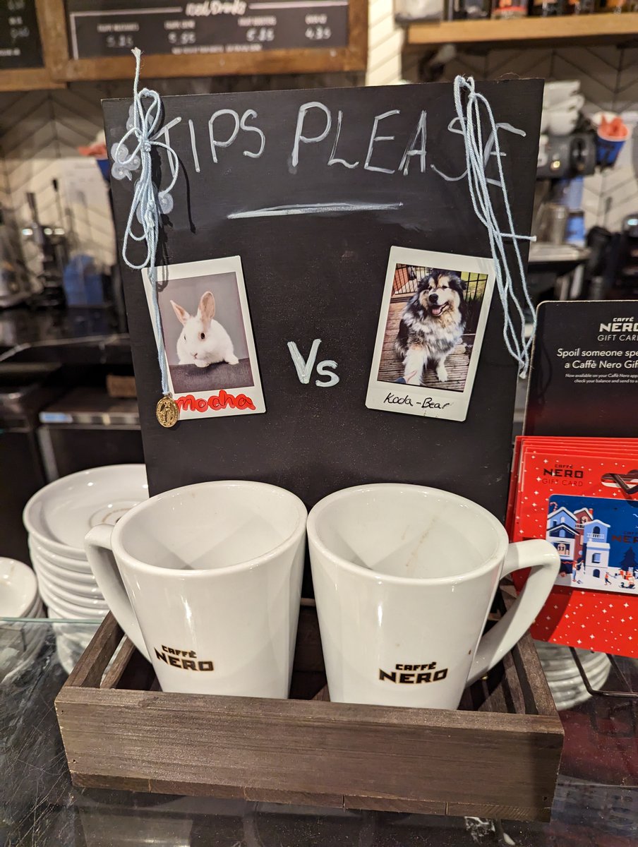 Saw this "dueling preference" tips tactic at a café. It seems like they have read this @jofmarketing paper by <a href="/jacirifkin/">Jacqueline Rifkin</a>, <a href="/KatherineMDu/">Katherine Du</a>, &amp; <a href="/j1berger/">jonah berger</a>: journals.sagepub.com/eprint/88RA7KF… I picked Koda-Bear by the way 🐕