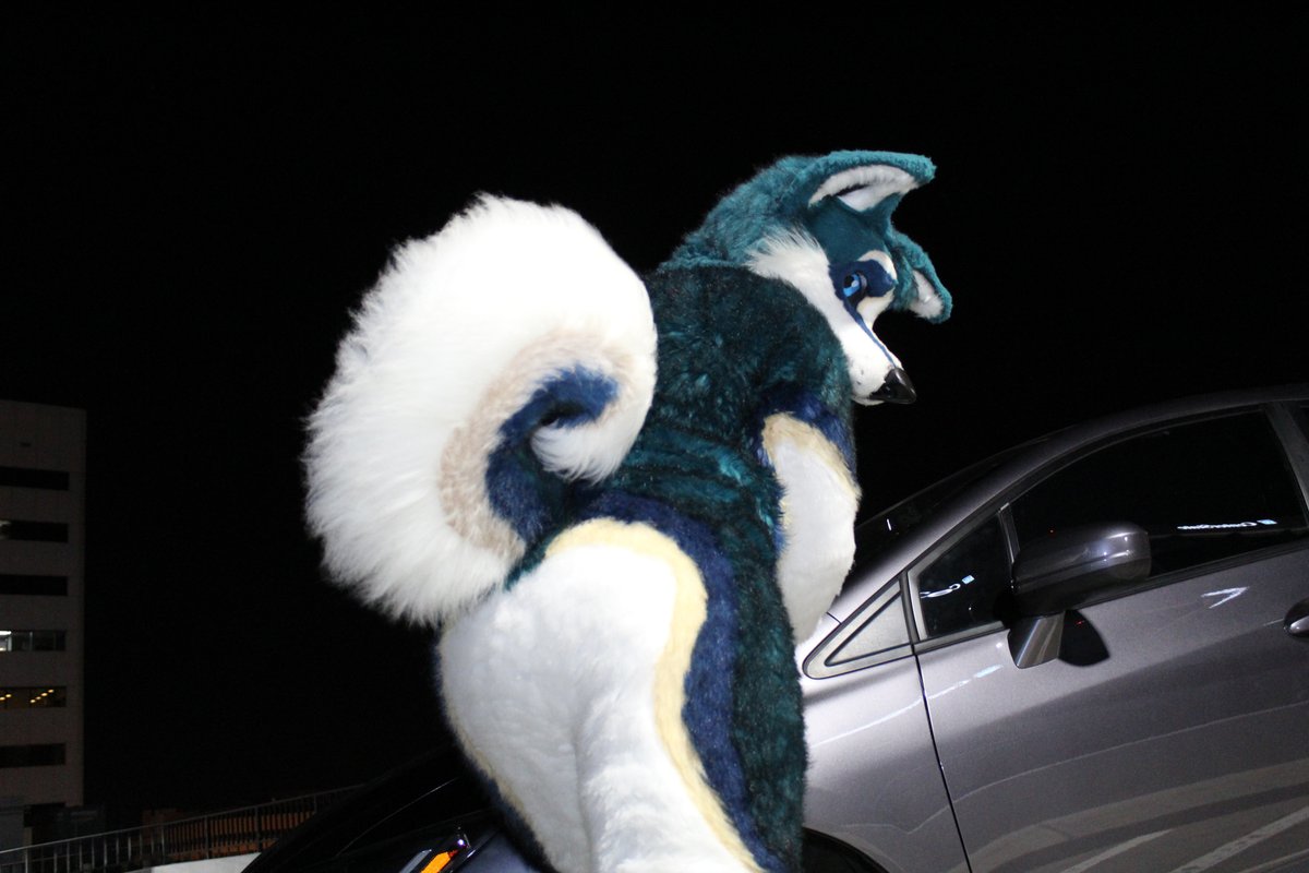 Hmmm what do we have here then?~ Of course it's <a href="/NekoHaiku/">Neko Shepsky</a>! &lt;3