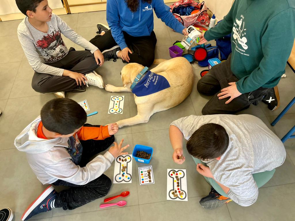 CeipLosCalifas's tweet photo. El viernes pasado hubo otra sesión de Intervención
Asistida con Perros 🐶 en nuestra aula específica. Esta terapia
constituye un complemento que reporta numerosos beneficios a nivel
físico, mental, social y emocional
#impulsa #inclusion #inclusionTEA @PerruneandoEs @EducaAnd https://t.co/EvsBfqeIB5