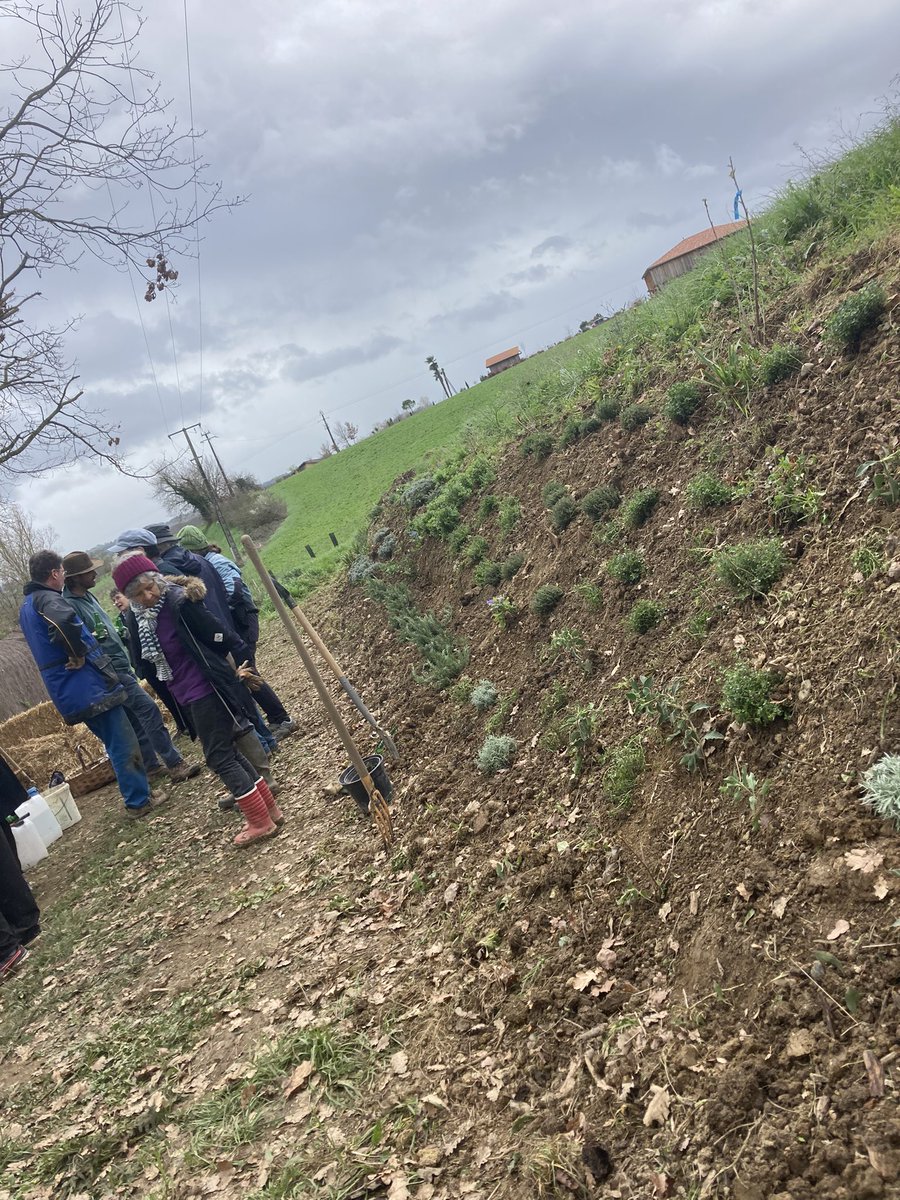 abeillesaramon's tweet photo. Matinée plantation c😍😍😍avec près de 150 plantes, arbustes et arbres merci aux bénévoles présents 😁malgré le décalage horaire 😉😍 https://t.co/wflSzK3xv0
