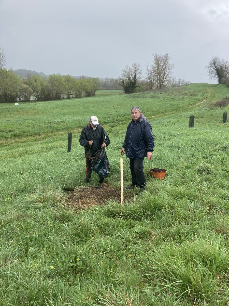 abeillesaramon's tweet photo. Matinée plantation c😍😍😍avec près de 150 plantes, arbustes et arbres merci aux bénévoles présents 😁malgré le décalage horaire 😉😍 https://t.co/wflSzK3xv0