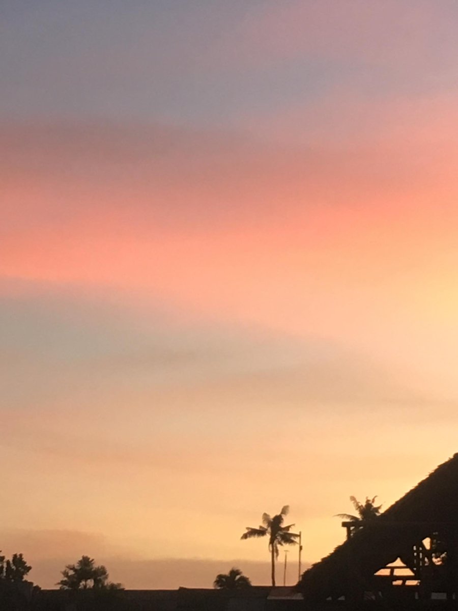 mintious's tweet image. 🫶🏻