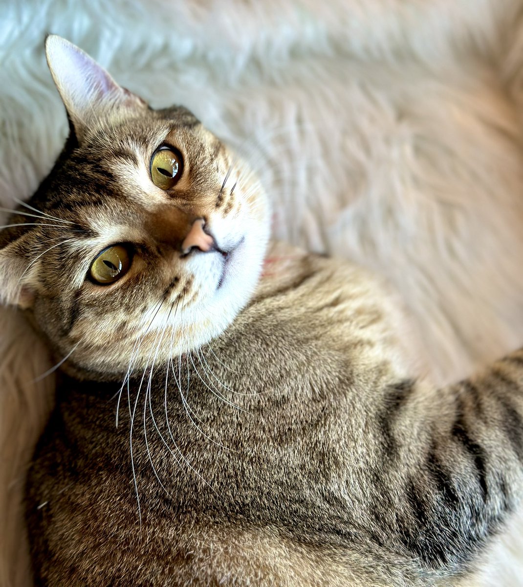 Feliz domingo. 😻✨