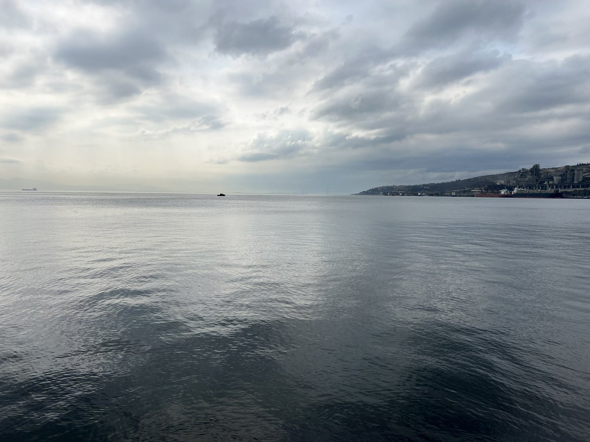 Sadettin HÜLAGÜ tweet media